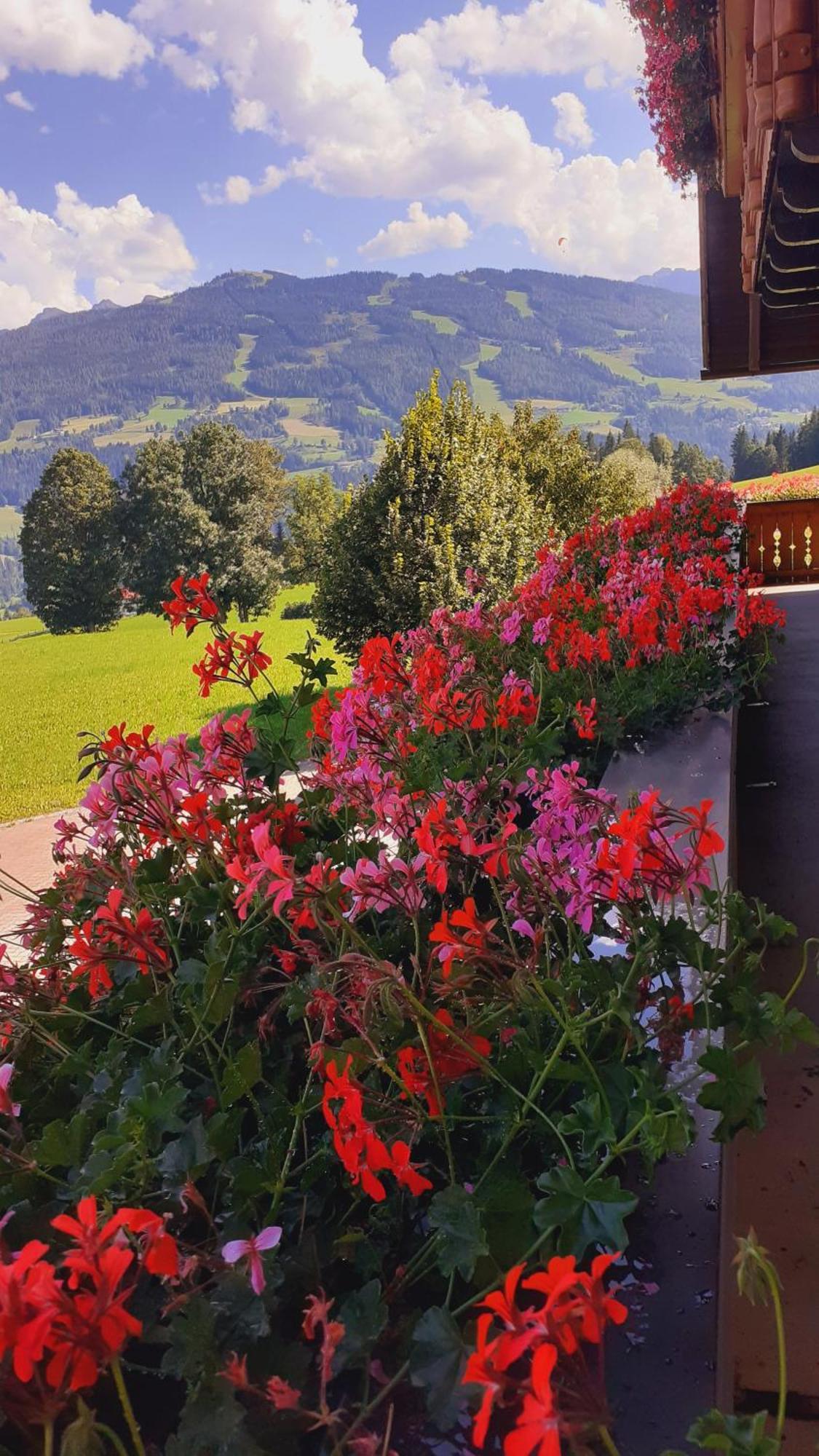Pension Trillerhof Ramsau am Dachstein Exterior foto